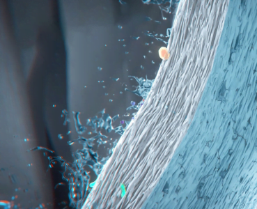 Bộ lọc thay thế