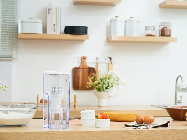 Bình lọc nước cầm tay