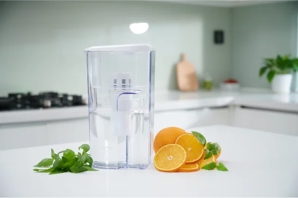 Bình lọc nước cầm tay