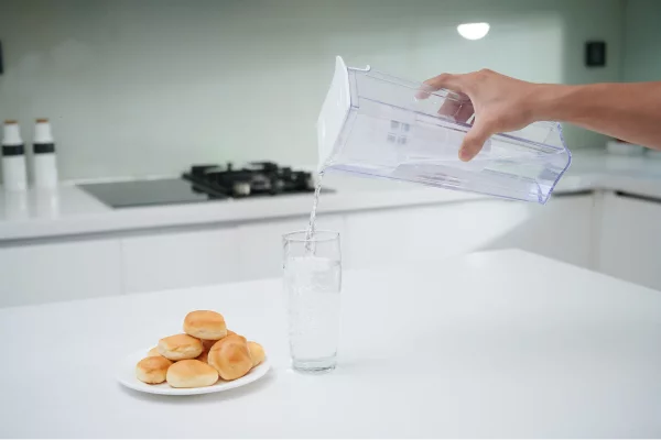 Bình lọc nước cầm tay