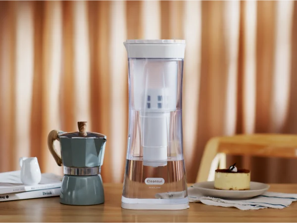 Bình lọc nước cầm tay