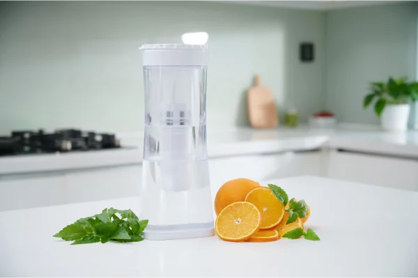 Bình lọc nước cầm tay