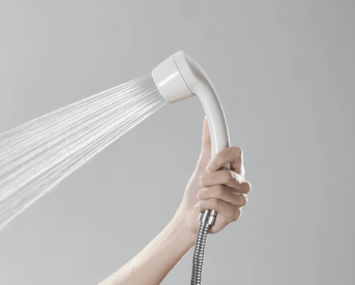 Water purification shower