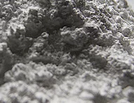 Water purification shower