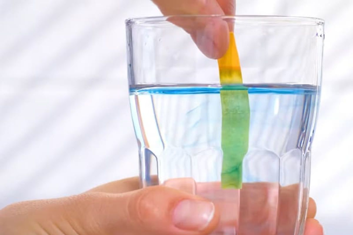 Sử dụng quỳ tím kiểm tra độ pH của nước
