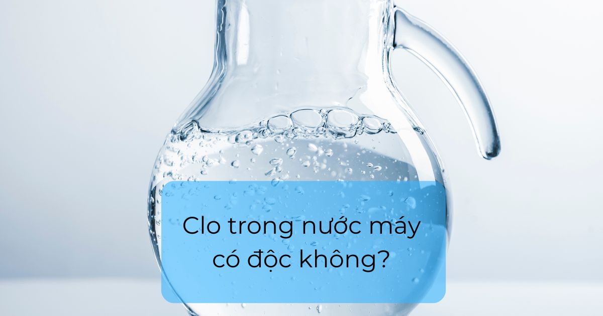 Clo trong nước máy có độc không