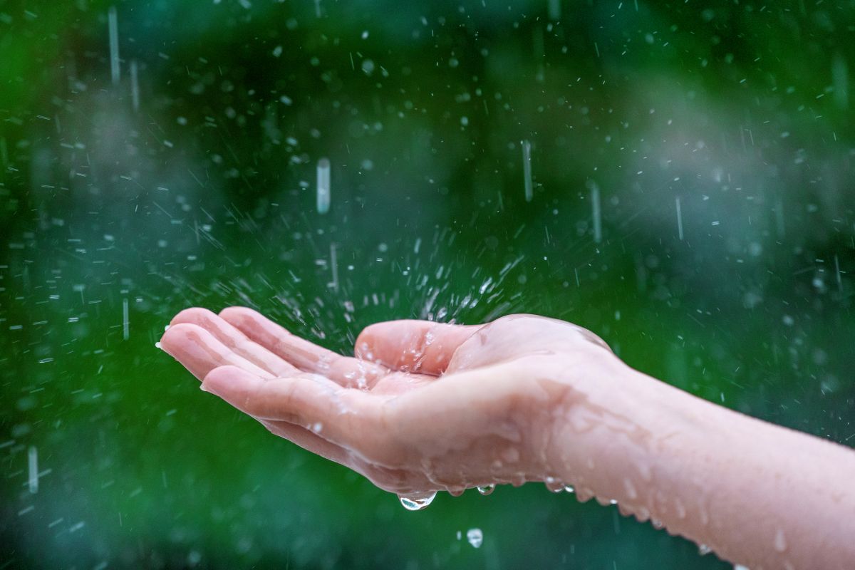 Nước mưa có sạch không? Nguy hiểm không ngờ khi dùng nước mưa sinh hoạt