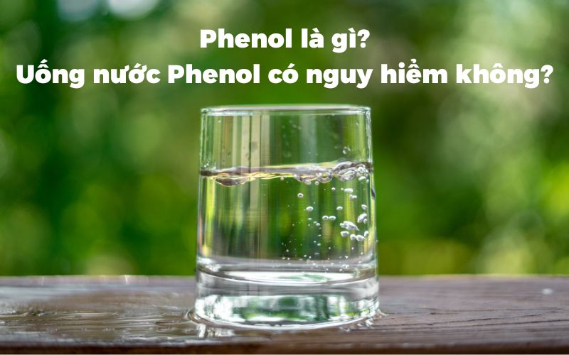 Phenol là gì? Uống nước có phenol có nguy hiểm không?