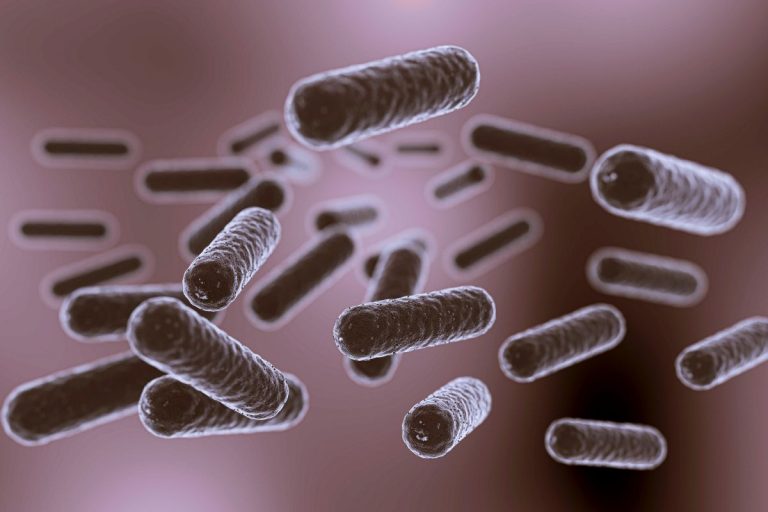 Vi khuẩn Coliform là gì và ảnh hưởng như thế nào đến nguồn nước sinh hoạt?
